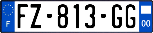 FZ-813-GG