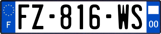 FZ-816-WS