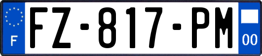 FZ-817-PM