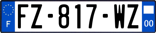 FZ-817-WZ