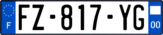 FZ-817-YG