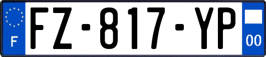 FZ-817-YP