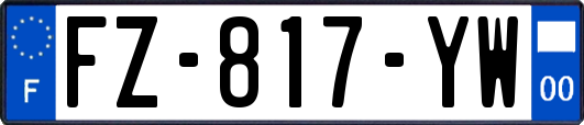 FZ-817-YW