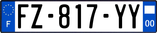 FZ-817-YY