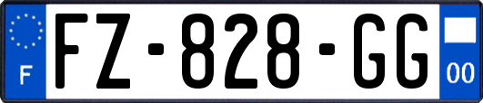 FZ-828-GG