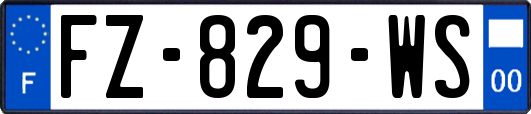FZ-829-WS