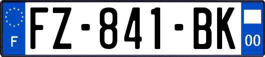 FZ-841-BK