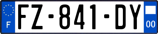 FZ-841-DY