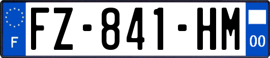 FZ-841-HM