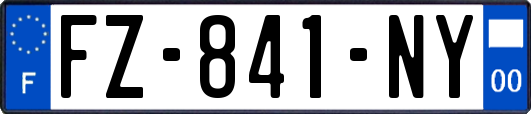 FZ-841-NY
