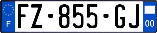 FZ-855-GJ
