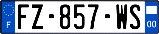FZ-857-WS