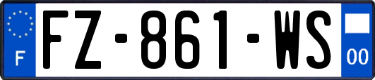 FZ-861-WS