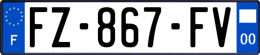 FZ-867-FV