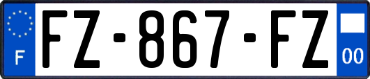 FZ-867-FZ