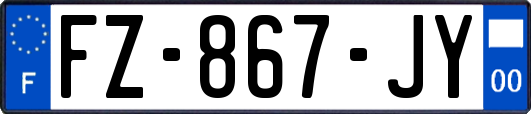 FZ-867-JY