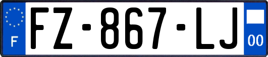FZ-867-LJ