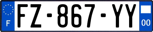 FZ-867-YY