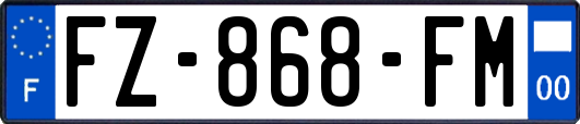 FZ-868-FM