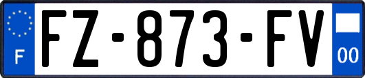 FZ-873-FV