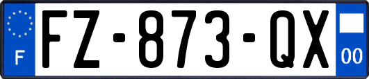 FZ-873-QX