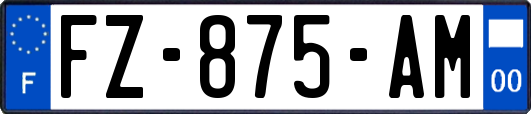 FZ-875-AM