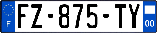 FZ-875-TY