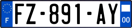 FZ-891-AY