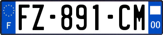 FZ-891-CM