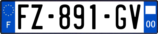 FZ-891-GV
