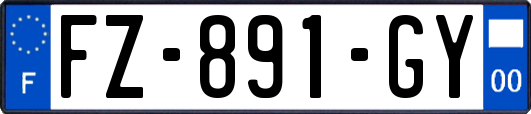 FZ-891-GY