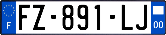 FZ-891-LJ