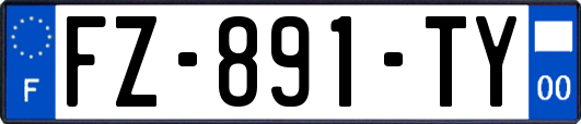 FZ-891-TY