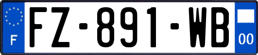 FZ-891-WB