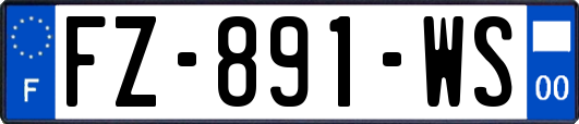 FZ-891-WS