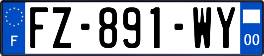 FZ-891-WY