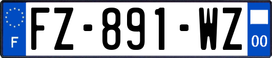 FZ-891-WZ