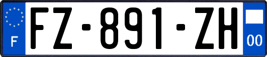 FZ-891-ZH