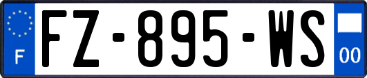 FZ-895-WS