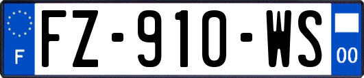 FZ-910-WS