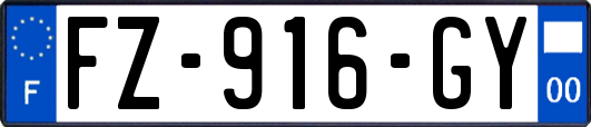 FZ-916-GY