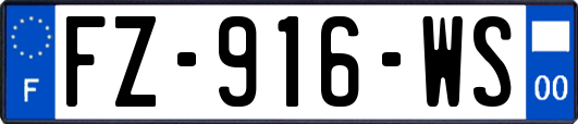 FZ-916-WS
