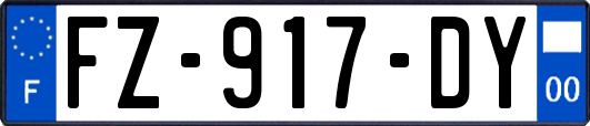 FZ-917-DY