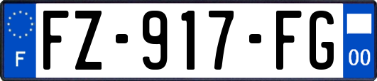 FZ-917-FG