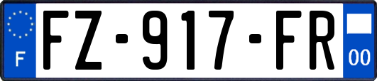 FZ-917-FR
