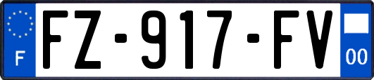 FZ-917-FV