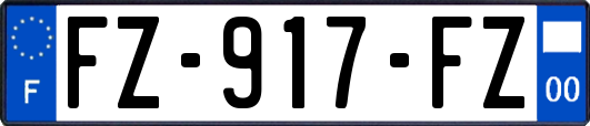 FZ-917-FZ