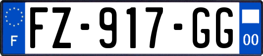 FZ-917-GG