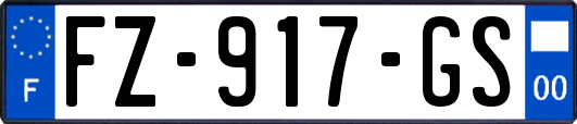 FZ-917-GS
