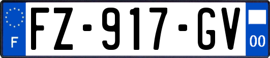 FZ-917-GV